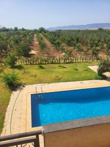 a swimming pool with a view of a vineyard at Villa avec piscine in Meknès
