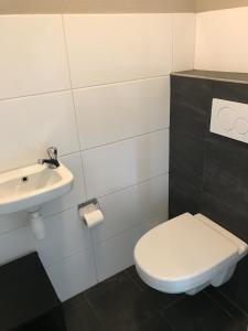 Ένα μπάνιο στο Rustiek en ruimtelijk vakantiehuis in Schoonloo +14 φωτογραφίες