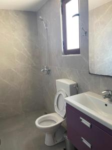 a bathroom with a toilet and a sink and a mirror at Aleks Holiday Rooms in Ksamil