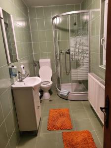 ein Bad mit einem WC, einem Waschbecken und einer Dusche in der Unterkunft Casa Nadia in Voineasa