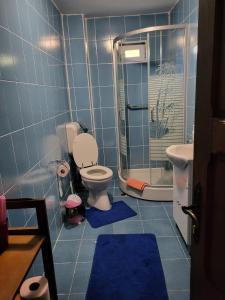 ein blau gefliestes Bad mit einem WC und einer Dusche in der Unterkunft Casa Nadia in Voineasa + 29 Fotos