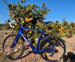 a blue bike parked next to an orange tree at Casita del Toro - Rooftop Terrace & Sea View in Vinarós +39 photos