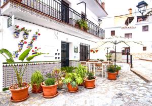 a patio with potted plants and a table and chairs at La Vieja Botica in Canillas de Aceituno