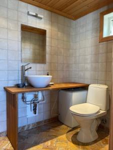 a bathroom with a toilet and a sink at Villa Krågenes in Farsund