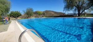 una gran piscina con agua azul en La Vieja Botica 2026, en Canillas de Aceituno