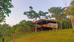 a house on top of a hill with trees at The Ridge Surf Lodge in Biha