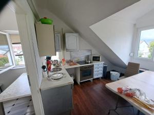 a kitchen with a sink and a counter top at Villa Prince, nur für Handwerker auch langfristig, nähe Ingolstadt in Vohburg an der Donau