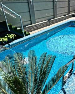 a blue swimming pool with a plant in front of it at Diamond Hotel in Chişinău