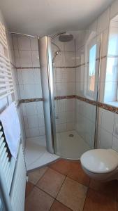 a bathroom with a shower and a toilet at Ferienwohnung Hermann Fliessau Zernien in Zernien