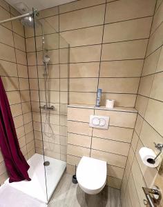 ein Badezimmer mit Toilette und Dusche in der Unterkunft Mons resort in Le Puy en Velay + 10 Fotos