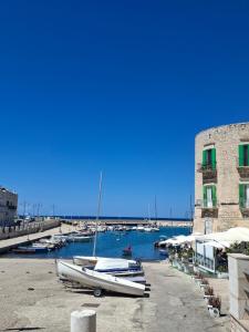 a group of boats are docked in a harbor at H2o Giovinazzo in Giovinazzo