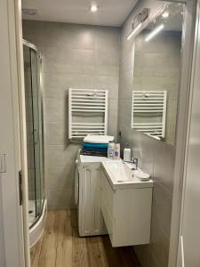a bathroom with a sink and a toilet and a mirror at Leśny Apartament I in Szczytno