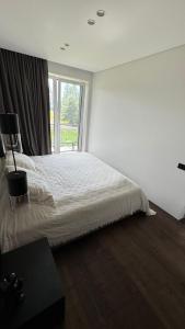 Ziogu Apartments في بالانغا: غرفة نوم بسرير كبير ونافذة