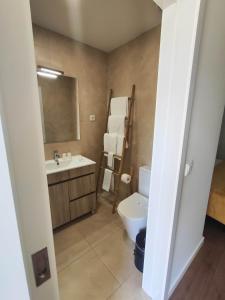 a bathroom with a toilet and a sink at Quinta do Gestal - Soutelo in Vila Verde +58 photos