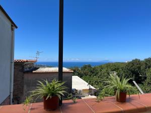 a view from the roof of a house with potted plants at Nello House in Vico Equense