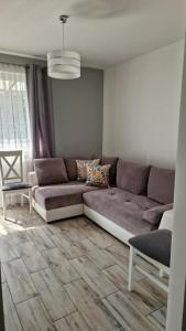 a living room with a brown couch in a room at Apartament w Krzesznej in Krzeszna