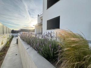 Φωτογραφία από το άλμπουμ του Le Calendule στην Όλμπια