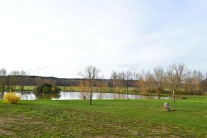 a grassy field with a lake in the background at La roulotte de l'étang in Chessy-les-Prés