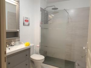 a bathroom with a shower and a toilet and a sink at Casa di u sole in Santa-Maria-Poggio +10 photos