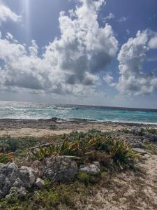 Imagen de la galería de Roots Apart Hotel, en Nairobi