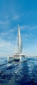 Imagen de la galería de Roots Apart Hotel, en Nairobi