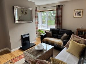 a living room with a couch and a fireplace at The Sidings in Enniskillen