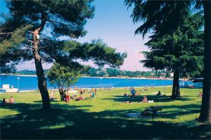 a group of people sitting in a park near the water at Apartments Špadići in Poreč