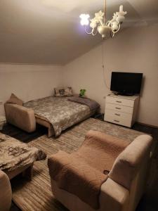a bedroom with two beds and a tv and a couch at Dino's Apartments in Plav
