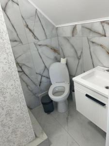 a bathroom with a toilet and a sink at Domik Zubanicha in Kelechin