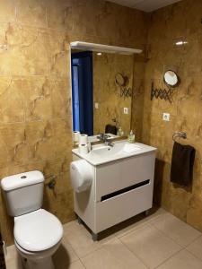 a bathroom with a toilet and a sink and a mirror at Iberfishing Apartmanok in Caspe