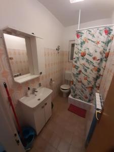 a bathroom with a sink and a toilet and a shower at Apartmants Emy in Novalja +28 photos