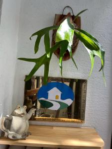 een potplant op een plank bij Just meet in Tainan +20 foto's