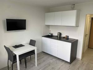 Kuchyň nebo kuchyňský kout v ubytování Vilnius Apartment with Balcony + 11 fotografií
