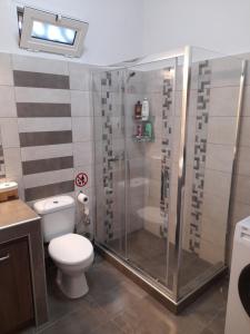 a bathroom with a shower and a toilet at Meteora view Guesthouse in Kalabaka +38 photos