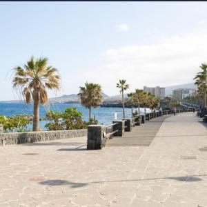 a boardwalk on the beach with palm trees and the ocean at Apartamento Dispa beach in Punta Larga