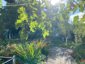 Φωτογραφία από το άλμπουμ του Ferienwohnung mit Garten σε Pirmasens