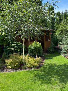 a garden with a tree in a yard at U Iwony in Sztutowo