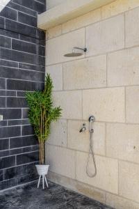 Gallery image of Penthouse with pool jerusalem in Jerusalem