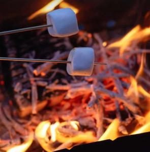 a close up of food cooking in a grill at Cozy bell tent with heating and smart Tv in Llanfairpwllgwyngyll