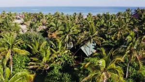 Phong cảnh thiên nhiên gần nhà gỗ