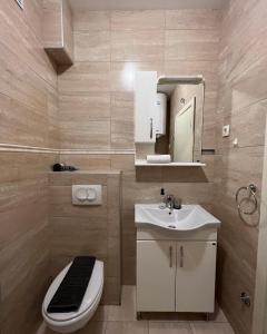 a bathroom with a toilet and a sink and a mirror at Paradise Apartments Becici in Becici