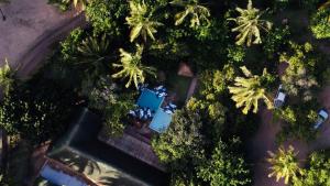 Vườn quanh Viva O Sonho