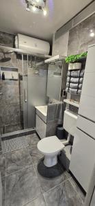 a bathroom with a toilet and a sink at Lux Apartman Stojanović in Belgrade