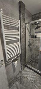 a bathroom with a shower and a toilet paper dispenser at Lux Apartman Stojanović in Belgrade +37 photos