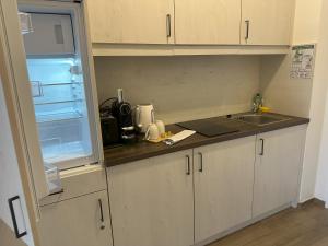 eine kleine Küche mit weißen Schränken und einer Spüle in der Unterkunft Ferienwohnung Thermenauszeit - mit Balkon und Bademantelgang in Bad Griesbach