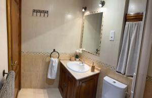 a bathroom with a sink and a mirror and a toilet at Navarubia in Navacerrada +18 photos
