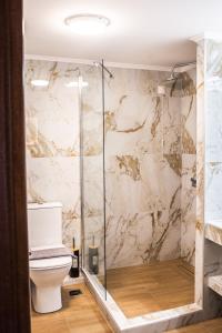 a bathroom with a shower and a toilet at Limnos View Apartments in Agios Ioannis Kaspaka +26 photos