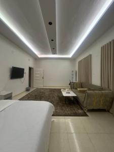 TV a/nebo společenská místnost v ubytování شقة في القبلتين