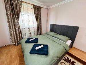 Gallery image of The Salin House in Turda