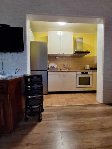 ムルテルにあるApartman Juranのキッチン(冷蔵庫、カウンター付)